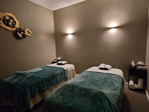 Massage Therapy Business $150K Revenue $75K Price