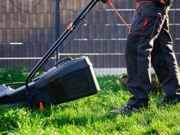 $75K Revenue Lawn Care & Snow Plowing Business | 365 Recurring Clients