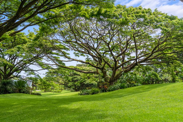 06 – Grounds 1