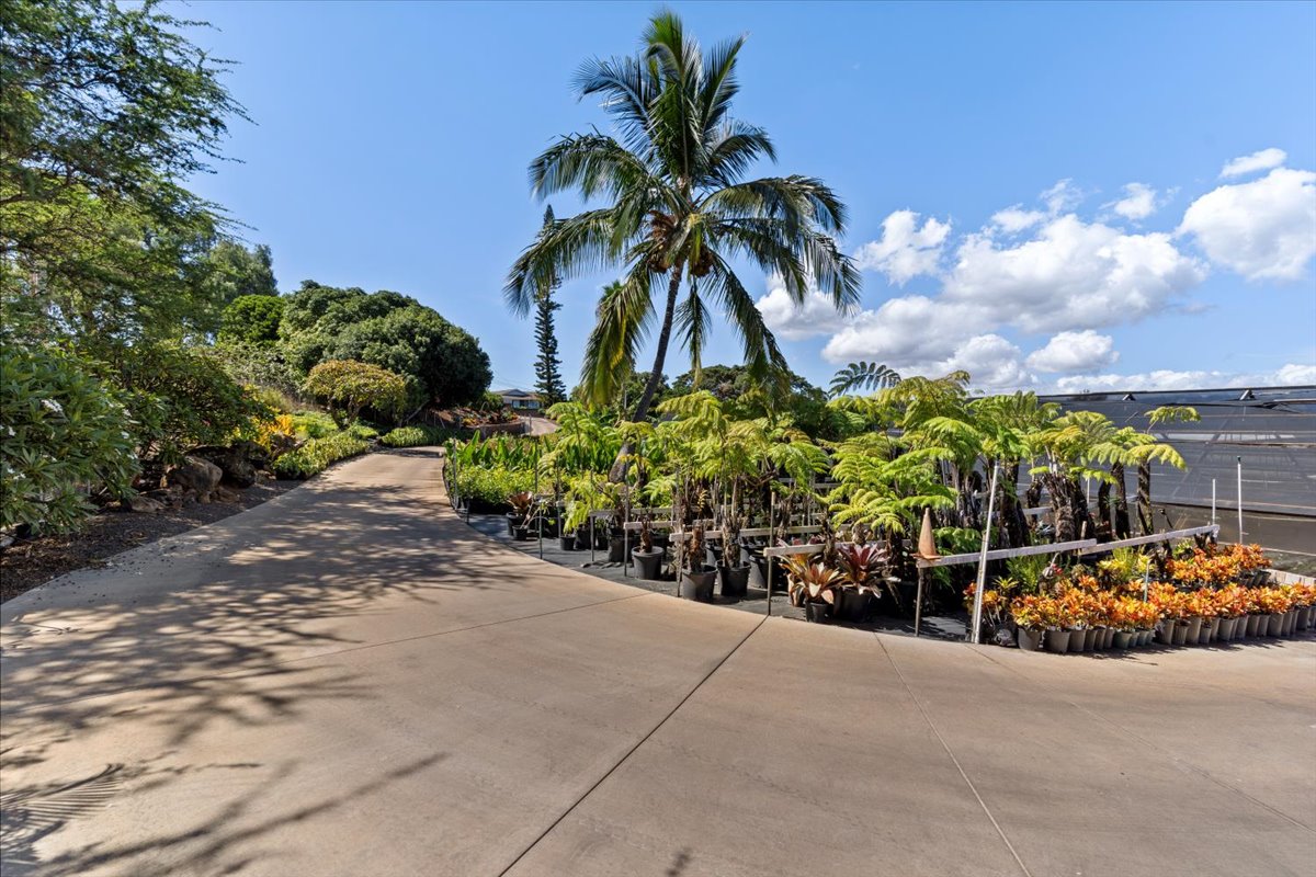 Driveway